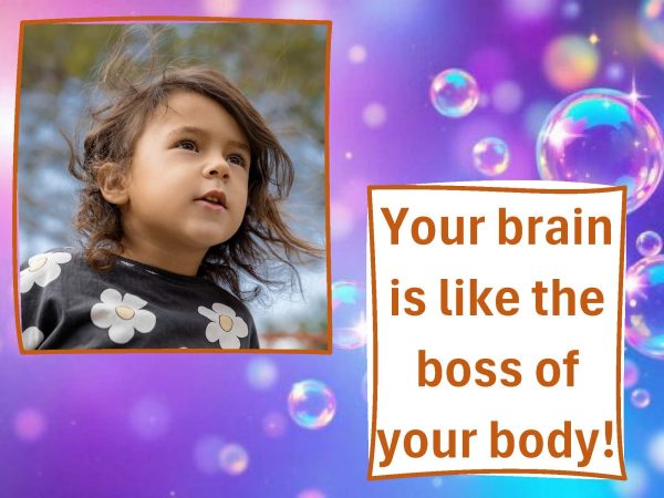 The Senses activity cards