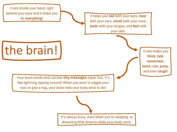 The Senses activity cards - Image 2